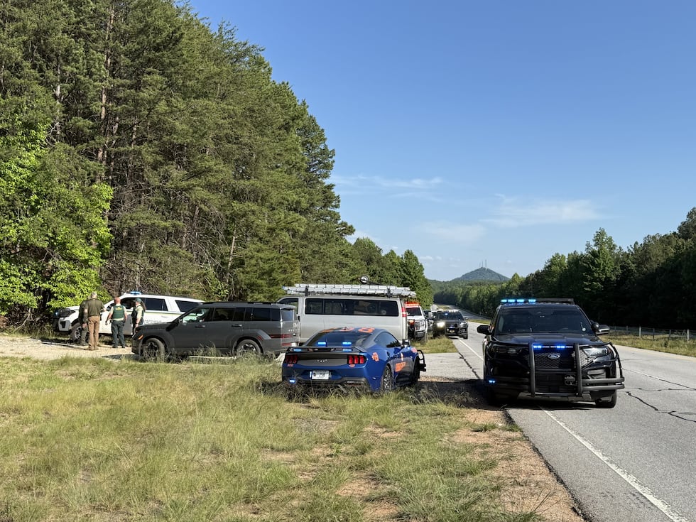 Arrestan a 25 inmigrantes durante operativo en zona boscosa de Georgia.