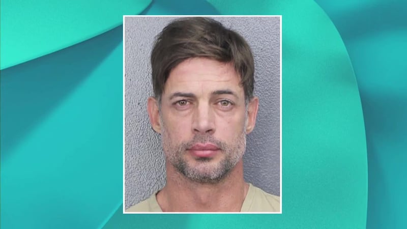 William Levy arrestado