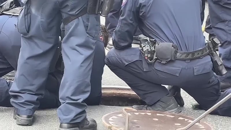 Un grupo de individuos salió de una alcantarilla en la ciudad de Nueva York. El incidente...